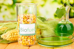 Salvington biofuel availability