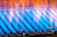 Salvington gas fired boilers
